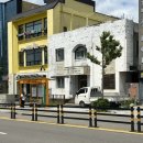 팀터틀랫 장유점 이미지