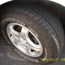 트라제5 이미지