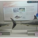 부산해양자연사박물관 이미지