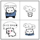 6월 일상