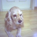 일양주유소 이미지