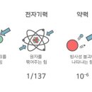 장노자 네이버블로그