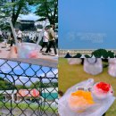 마운틴메탈 | 섬머소닉 오사카 2024 후기 - 2 SUMMER SONIC BRING ME THE HORIZON