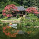 풍산태사로(서) | 8월에만 피는꽃! 조선시대 숨은 고택과 정자, 안동 체화정의 화려한 변신