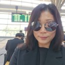 부산행 KTX 타고~ 이미지