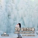 체험마을율리영농조합법인 | 2026 청양 알프스마을 얼음분수축제 주차 오픈런 후기