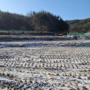 대자연유치원 이미지