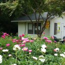 사슴농장 이미지