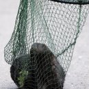 소동농장 이미지