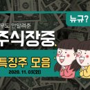 (주)서진라이트