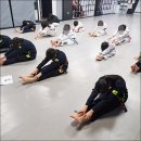 경희대 최강 MTA 태권도 네이버블로그