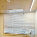 스마트팜 | 창원 성산구 블라인드 커튼 맞춤 시공 사례