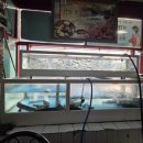 일신식당 이미지