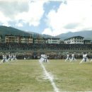 쌍용키즈태권도 이미지