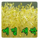메밀면묵밥리 이미지