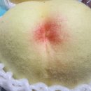 이언농장 네이버블로그