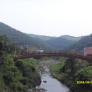 수회리로 Daum카페