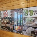 청춘면가 이미지