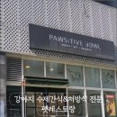 포지티브 보울 이미지