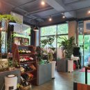 자연산회통영붕장어 이미지