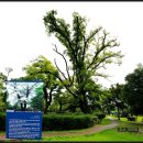 당산못공원 이미지