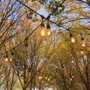 새옥천목장 | 2박3일 국내여행 여행지추천(당진, 대전, 공주)