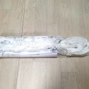 꿩고개 유아숲체험원 이미지