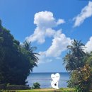 수호카서비스 | [2.24~28 괌 여행] 여행 4~5일차 - Stax Smash Burgers/Cafe Mayflour II/남부투어/그랜드플라자...