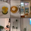 웨더커피(weather coffee)