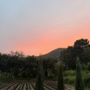 소양민박 이미지