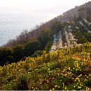산과수원민박 이미지