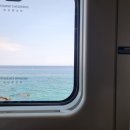 할리스(동해묵호점) | 묵호 여행