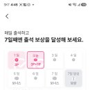 Mnet plus 이미지