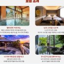 야구루트