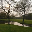 숲속골프 이미지