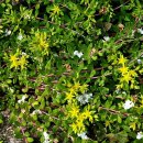 칼봉산자연휴양림 이미지