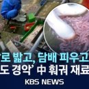 동성육류