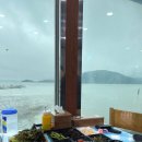 외포터미널 | 뚜디니의 바다뷰 강화도맛집 외포횟집 모둠회소 후기