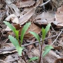 간판없는식당 이미지