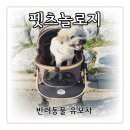 주식회사 펫츠 원 | 편안한 펫츠놀로지 강아지유모차 솔직한 사용후기 구독서비스 신청하고 저렴하게