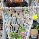 마크라메 벽걸이(행잉)만들기 이미지