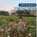 영종도 3호광장 주변 녹지 | 서울3호선 안국역 놀거리 열린송현 아이와 가볼만한곳 산책