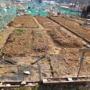 삼송농장 이미지