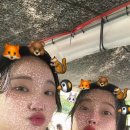 남창감나무집 이미지