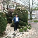 길안초등학교 이미지