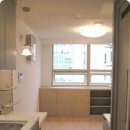 동양라디안루키 이미지