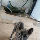 용모 농장 이미지