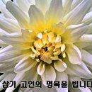 해승 이미지