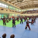 타이거 합기도 이미지