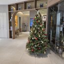 대동사거리 파리바게트 앞 | 대치동미용실 준오헤어 대치역사거리점 애쉬브라운 뿌리염색